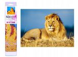 Norimpex Diamant Gemä Lde Lion Majesty 30X40Cm