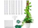 Monstera, Supporto Per Piante Rampicanti Trasparente, Bastone Per Piante Rampicanti Kit Fai Da Te 61Cm