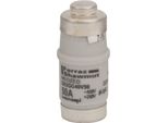 Inserto Fusibile Neozed D02, 50A Bianco - Fusibile Non Irradiato D02 50A D02GG40V50