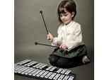 Costway 30 Note Glockenspiel Xilofono A Percussione Manuale Con Borsa Per Il Trasporto Del Mazzuolo, Percussioni Adatto A Bambini E Adulti