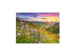 Castorland Puzzle Alba Sulla Valle 500 Pezzi