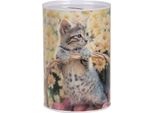 Salvadanai Clayre & Eef Ø 10X15 Cm Gatto In Metallo Beige