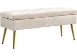 Homcom Panca Con Contenitore, Panca Imbottita Con Coperchio, Panca Da Letto Con Aspetto Vellutato, Per Corridoio Camera Da Letto Soggiorno, Struttura In Metallo 102 X 35 X 43 Cm Beige