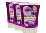 Sagrotan No Touch Ricarica Mora E Frutti Di Bosco 250Ml Confezione Da 3 Pezzi
