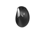Rapoo EV250 Mouse Da Ufficio Destro Rf Ottico Senza Fili 1600 Dpi