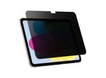 Mw, Pellicola In Vetro Per Apple Ipad 10.9 2022 Privacy 360°, Trasparente