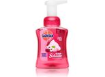 Sagrotan Sapone Per Le Mani Schiuma Di Velluto Fiori Di Ciliegio E Rosa Dispenser 250Ml
