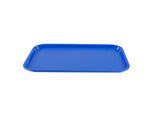 Gn Vassoio 1/1 Gn 1 Pezzo Blu