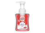 Sagrotan Sapone Schiuma Vellutata Fiori Di Ciliegio E Rosa 250 Ml Confezione Da 6 Pezzi
