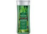 Joanna Naturia Shampoo Con Ortica E Tè Verde 200Ml