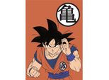 Dragon Ball - Telo Da Spiaggia - Son-Goku - Coperta In Pile
