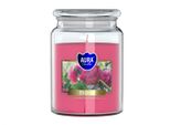 Grande Candela Profumata In Vaso Bispol Aura 100H Piwonia