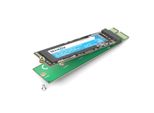 Brainzap M.2 M2 Ssd Nvme A Scheda Convertitore Adattatore PCI-E Pci-Express Pcie X1 M, Chiave M+B