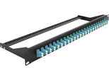 Delock - Pannello Patch - Montabile A Rack - Lc Duplex Mm X 24 - Nero, Acquamarina - 1U - 48,3 Cm (19") (43389)"