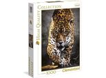 Clementoni 39326 - Puzzle - Giaguaro (1000 Pezzi) Puzzle Grande Gatto