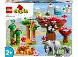 Lego 10974 Lego Duplo 10974 Wilde Tiere Asiens