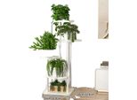 Espositore In Legno Per Piante E Fiori, Scaffale Organizer, LSB-5 Livelli-Bianco