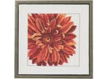 Set Per Punto Croce Permin "Dahlia"", Schema Per Il Conteggio, 30X30Cm, 70-1153"