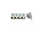 Shin Yo Mini Spina A 2 Pin (Femmina)