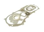 Set Guarnizioni Spec-X 101.Octane Motore Minarelli 50 Ccm Ac
