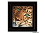 Lanarte Set Punto Croce "Leopard Counting Fabric"", Schema Di Conteggio"
