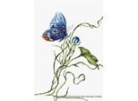 Luca-S Set Per Punto Croce "Emotion"", Schema Contato, 19,5X25 Cm"