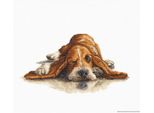 Luca-S Set Per Punto Croce "Basset"", Schema Contato, 28,5X15,5 Cm"