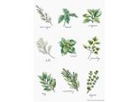Luca-S Set Per Punto Croce "Spezie Ed Erbe Aromatiche I"", Schema Contato, 21,5X30,5 Cm"
