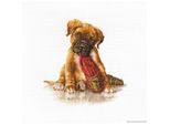 Luca-S Set Punto Croce "Boxer"", Schema Di Conteggio, 18X17,5Cm"
