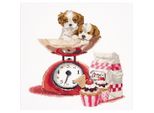 Thea Gouverneur Kit Punto Croce "Baking Puppy Aida"", 31X30Cm"