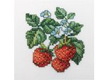 Rto Set Punto Croce "Fragole Di Bosco"" H251, Motivo Di Conteggio, 10X10 Cm"