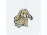 Rto Set Punto Croce "Rabbit Fanny"" H265, Motivo Di Conteggio, 9X9 Cm"