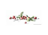 Luca-S Set Per Punto Croce "Etude Con Fragole E Libellula Aida"", Schema Contato, 49,5X18,5Cm"
