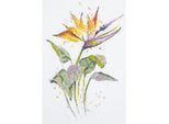Set Punto Croce Panna "Strelitzia"" 20X30Cm, Schema Di Conteggio"
