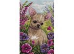 Set Punto Croce Panna "Chihuahua"" 16X26Cm, Schema Di Conteggio"
