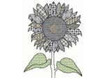 Bothy Threads Blackwork Set Punto Croce "Girasole"", 27X33Cm, Xbw1, Schema Punto Croce Contato"