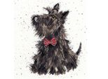 Bothy Threads Set Per Punto Croce "Scottish Terrier"", 26X26Cm, Xhd13, Schema A Punto Contato"