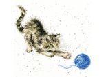 Modello Fuori Produzione Set Per Punto Croce Bothy Threads "Kitten"", 26X26Cm, XHD71, Schema Contato"