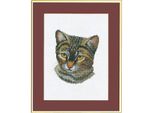 Eva Rosenstand Set Punto Croce "Cat"", Schema Di Conteggio, 28X35Cm"