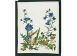 Eva Rosenstand Set Punto Croce "Chicory"", Schema Di Conteggio, 35X115Cm"
