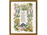 Eva Rosenstand Set Punto Croce "Erbe Piccanti"", Schema Di Conteggio, 40X50Cm"