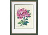 Set Punto Croce Eva Rosenstand "Rododendro, Rosa"", Schema Di Conteggio, 35X45Cm"