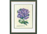 Eva Rosenstand Set Punto Croce "Rhododendron, Lilla"", Schema Di Conteggio, 35X45Cm"