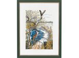 Eva Rosenstand Set Punto Croce "Kingfisher"", Schema Di Conteggio, 30X40Cm"