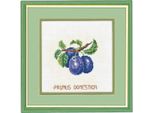 Eva Rosenstand Set Punto Croce "Plums"", Schema Di Conteggio, 20X20Cm"