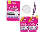 Calitti - Lettiera Per Gatti Lavenda Silicate | Sabbia Antibatterica Per Gatti | Set Di 6 6 X 3,8 L = 22,8 L