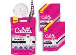 Calitti - Lettiera Per Gatti Ai Silicati | Sabbia Antibatterica Per Gatti Al Fresco Profumo Di Lavanda | Set Di 16 Confezioni 16 X 3,8 L = 60 L