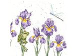 Bothy Threads Kit Per Punto Croce "Damsels And Dragons"", Motivo Contato, Xhd97, 26X26Cm"