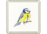 Set Per Punto Croce Heritage In Aida "Blue Tit"", Schema Contato, CFBT1513-A, Sottobicchiere 7,5X7,5Cm"