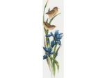 Set Per Punto Croce Heritage Aida "Rhapsody In Blue (A)"", Schema Contato, VPRB541-A, 9X34,5Cm"